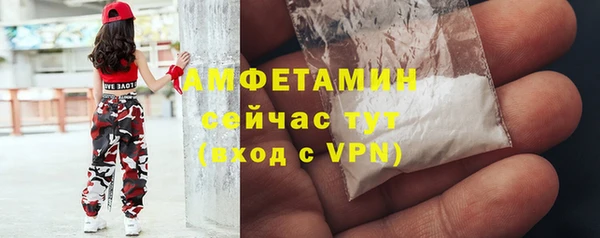 ешки Алексин