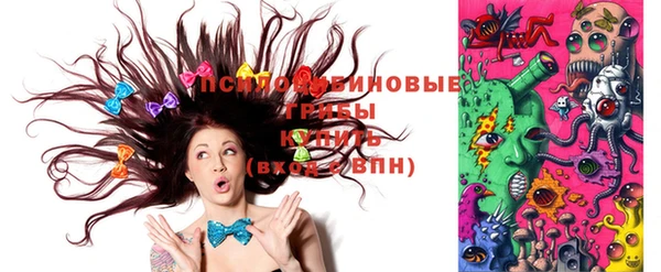 ешки Алексин