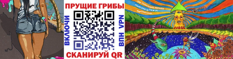 Псилоцибиновые грибы Psilocybe как найти Суровикино